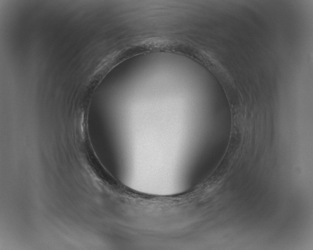 X0000053020024200507081338