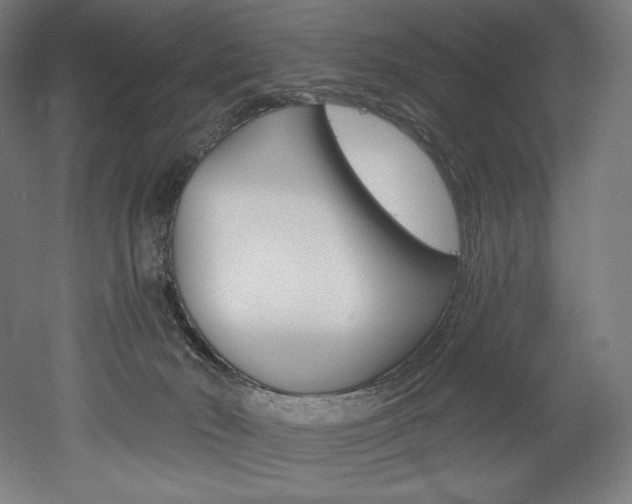 X0000053020030200507081338