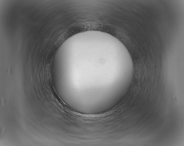 X0000053020034200507081337