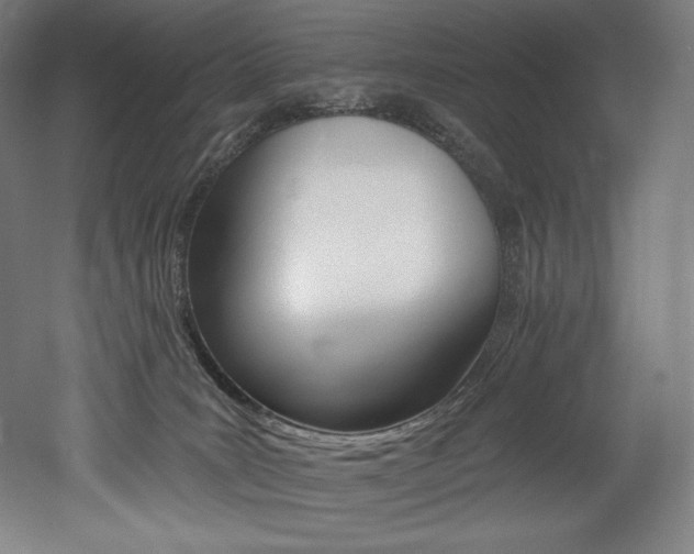 X0000053020035200507081337