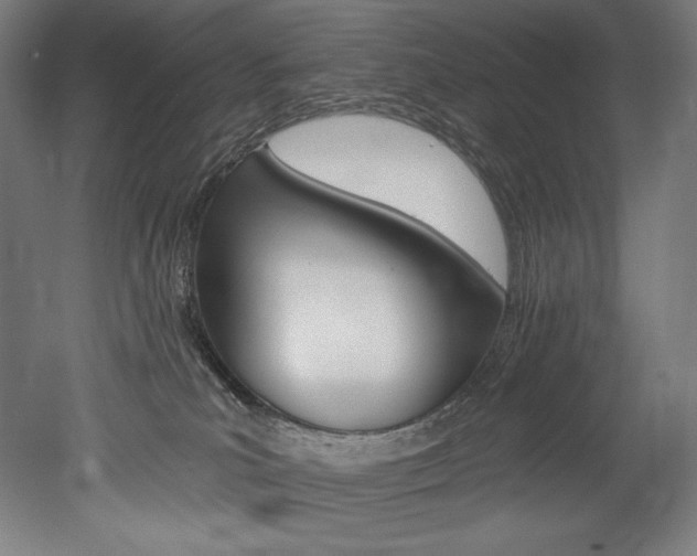 X0000053020039200507081337