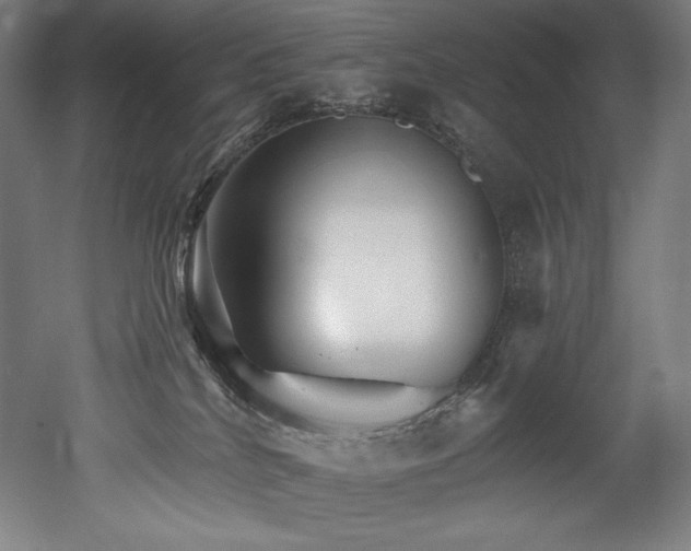 X0000053020040200507081337