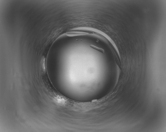 X0000053020041200507081337