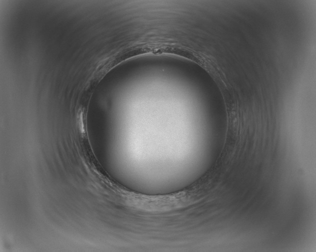 X0000053020042200507081337