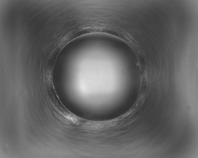 X0000053020045200507081337
