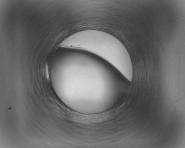 X0000053020046200507081337