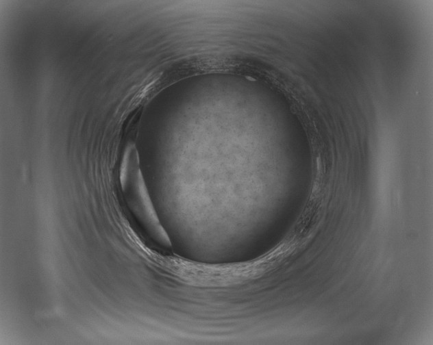 X0000053020048200507081337
