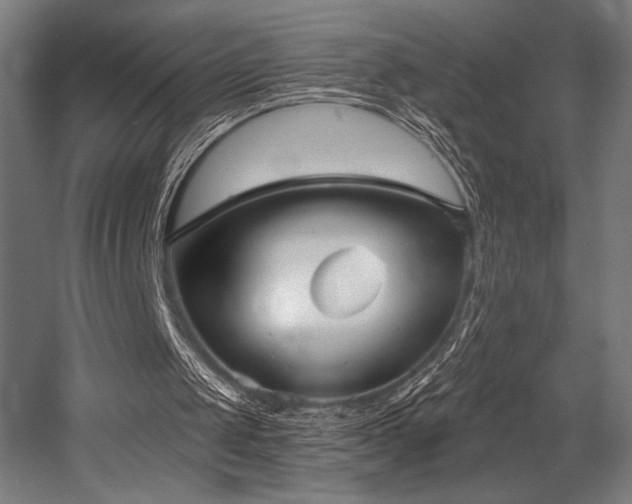 X0000053020049200507081336