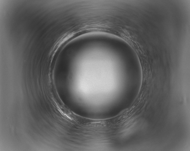 X0000053020050200507081336