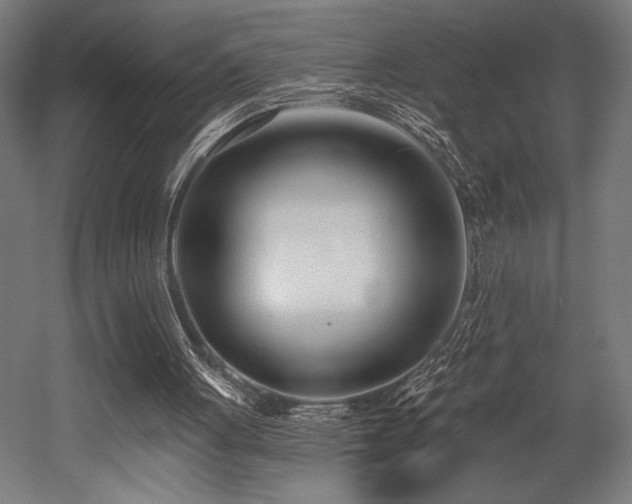 X0000053020051200507081336