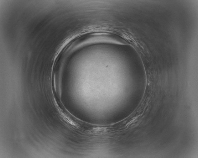 X0000053020052200507081336