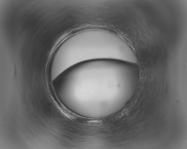 X0000053020053200507081336