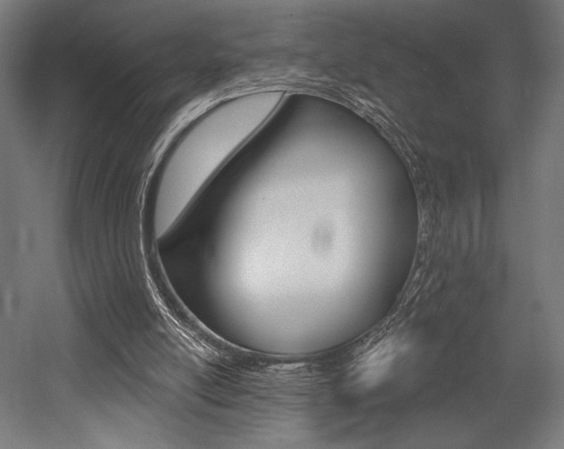 X0000053020054200507081336