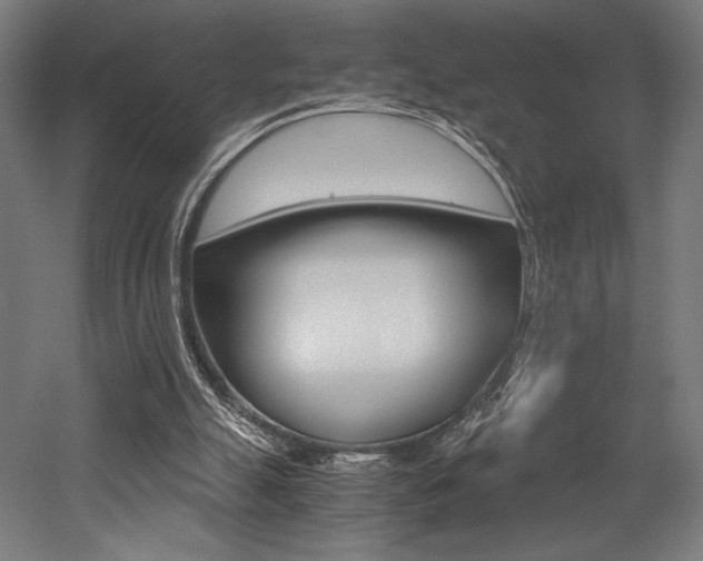 X0000053020055200507081337