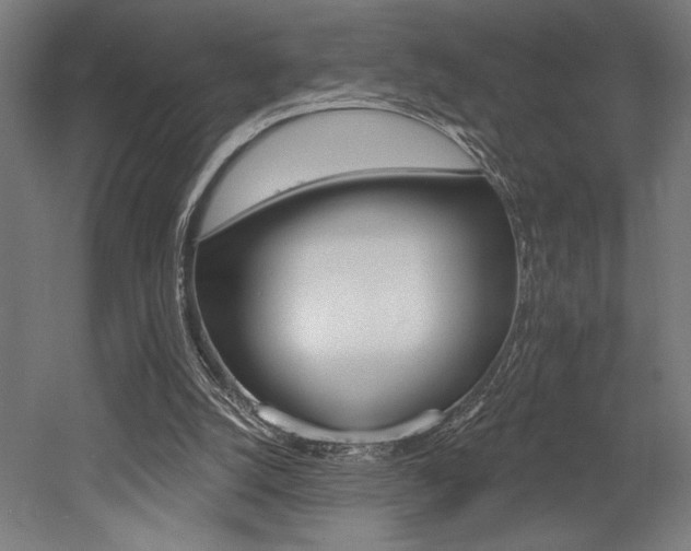 X0000053020056200507081337