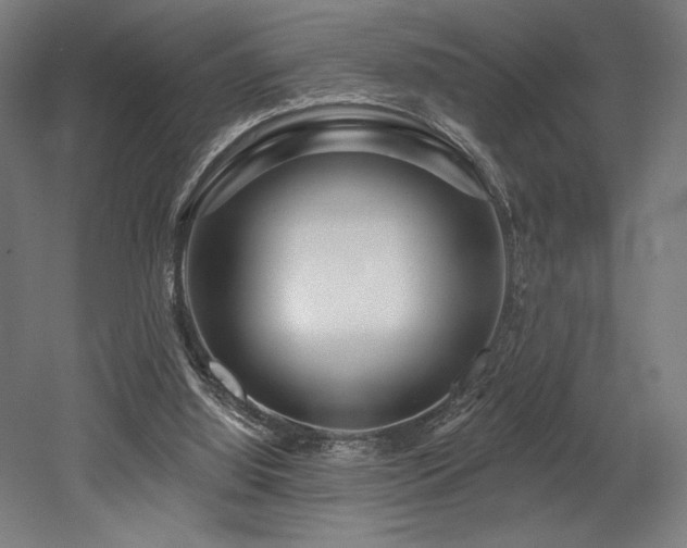 X0000053020060200507081337