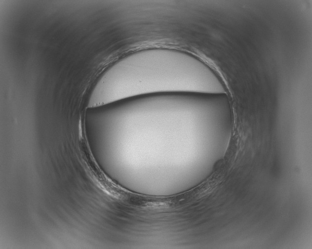 X0000053020061200507081337