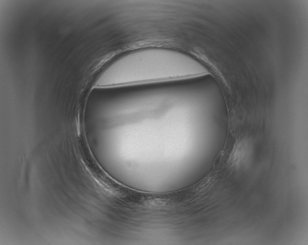 X0000053020062200507081337