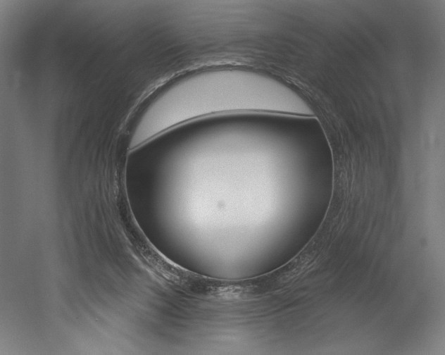 X0000053020064200507081337