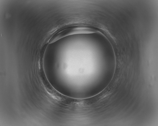 X0000053020068200507081337