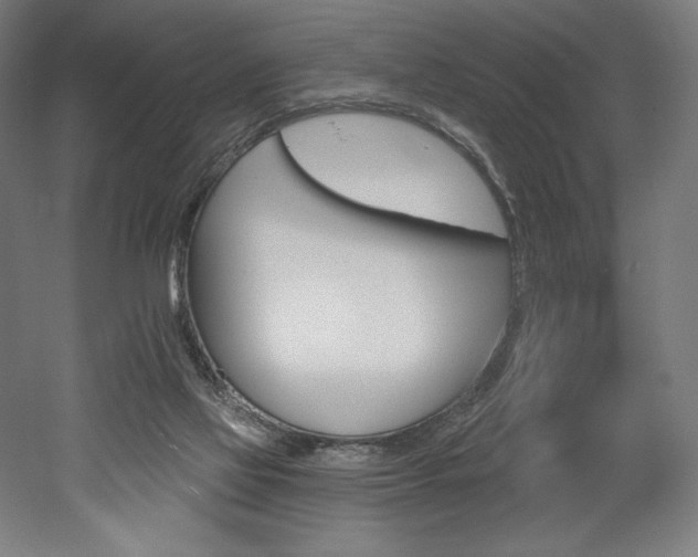 X0000053020069200507081337