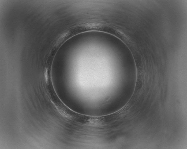 X0000053020070200507081337