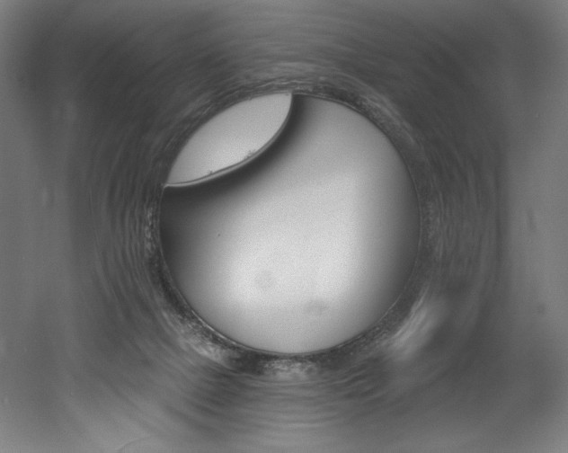 X0000053020073200507081337