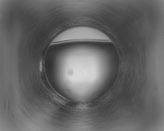 X0000053020076200507081337