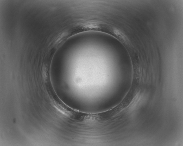 X0000053020077200507081337