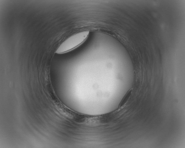 X0000053020078200507081337