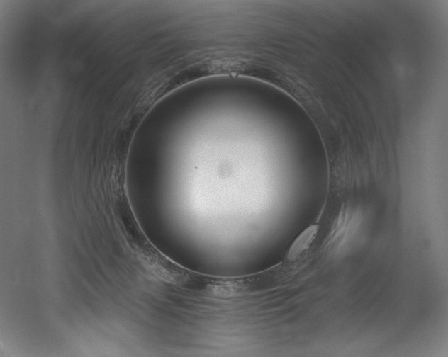 X0000053020079200507081337
