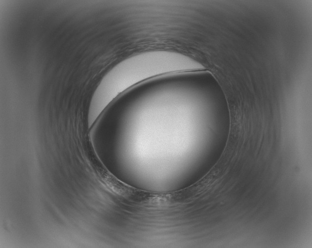 X0000053020080200507081337