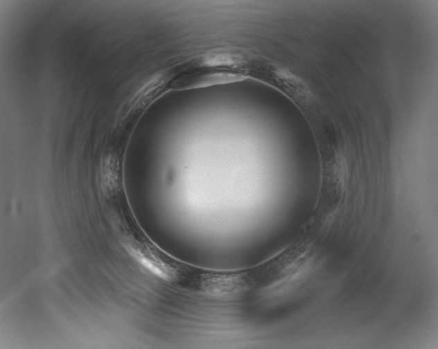 X0000053020081200507081337