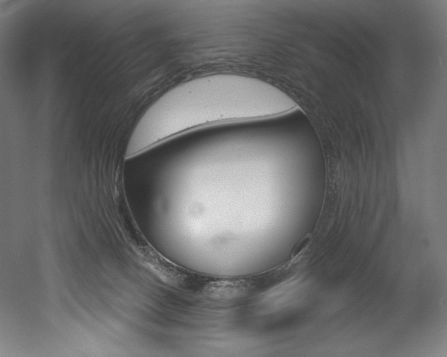 X0000053020082200507081337
