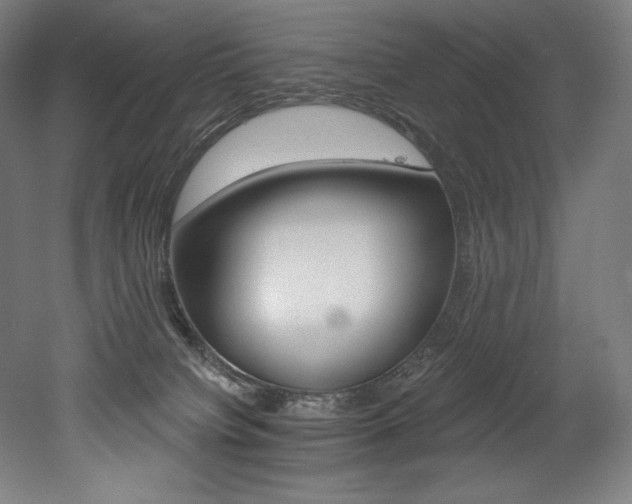 X0000053020084200507081337