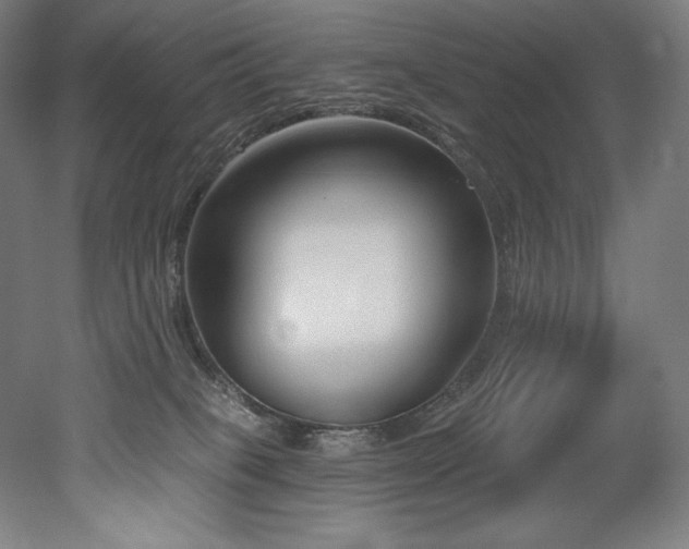 X0000053020085200507081337