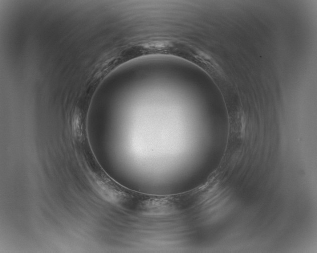 X0000053020086200507081337