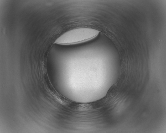 X0000053020087200507081337