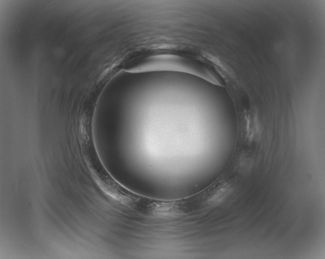 X0000053020088200507081337