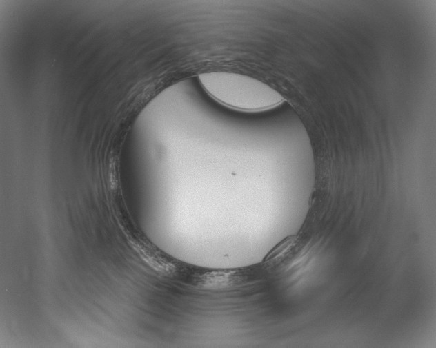 X0000053020090200507081337