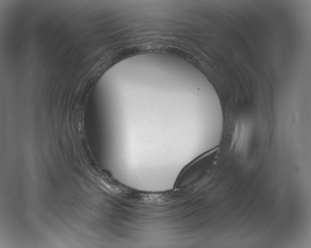 X0000053020091200507081337