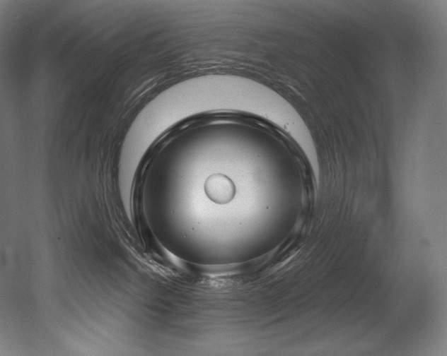 X0000053020092200507081337