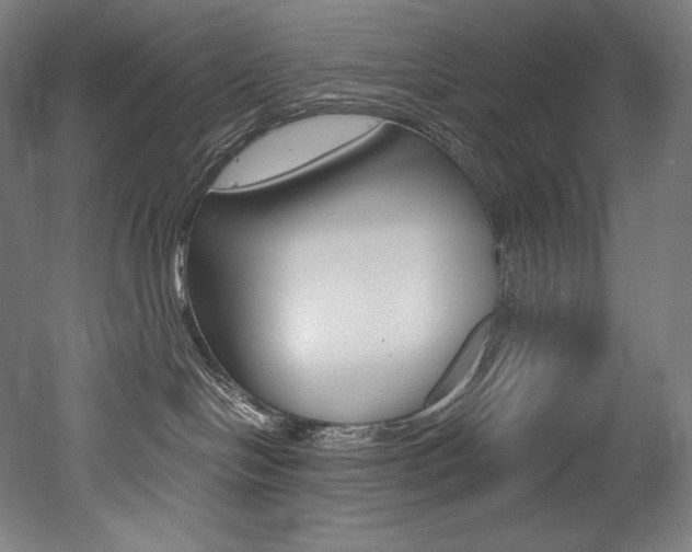 X0000053020094200507081337