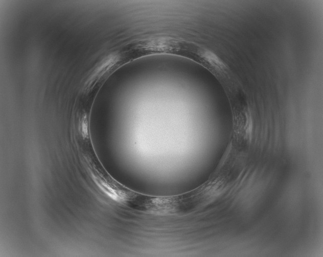 X0000053020095200507081337