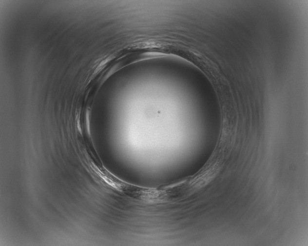 X0000053020096200507081337