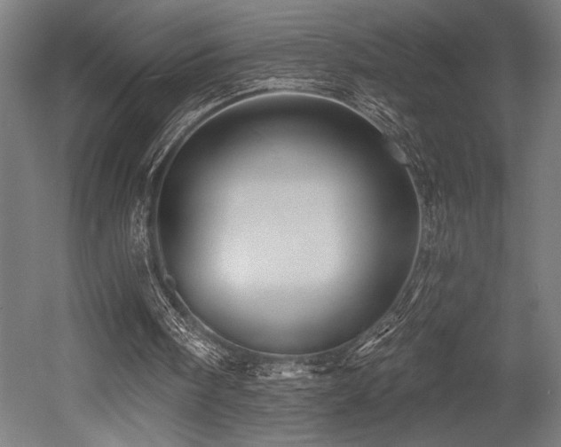X0000053020098200507081336