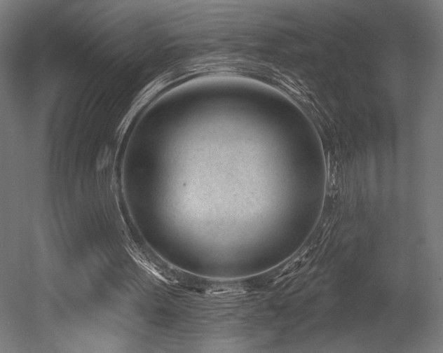X0000053020099200507081336