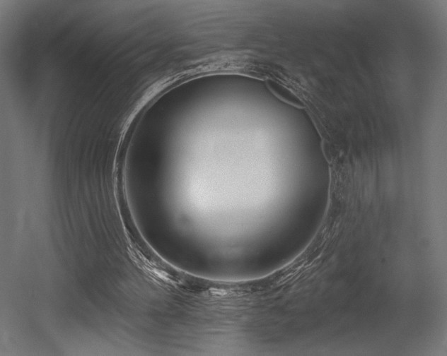 X0000053020100200507081336