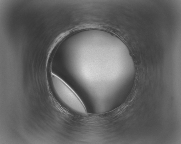 X0000053020104200507081336