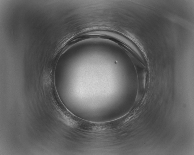 X0000053020105200507081336